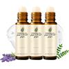 Generico The Express Antirughe - Effetto Lifting Istantaneo, Siero Roll-on per Contorno Occhi, Siero Contorno Occhi per Occhiaie e Borse, Rassodante Anti-Età Idratante per Donna e Uomo (3PCS)