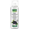 Rausch Dry Shampo Fresh dona volume e freschezza ai capelli chiari e scuri, dimensione da viaggio, confezione da 1 (1 x 50 milliliters)