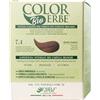 Colorerbe Tintura COLOR ERBE Bio Biondo Ramato (7.4)