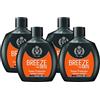 FEI FAN Deodorante Profumato Men, POWER PROTECTION, No Gas, Formulato Senza Sali Di Alluminio 100ml (4 Unità)