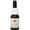 Australian Bush Flower Essences Bush Flower - Alpine Mint Bush 15 Ml -Essenza Floreale
