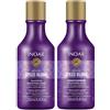 Inoar Duo Absolut Speed Blonde Hair Care System - 250ml x 2