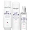 Goldwell Dualsenses Just Smooth Taming Shampoo 250ml Conditioner 200ml Oil 100ml