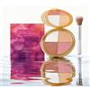 Generico Glow Wardrobe Eye & Cheek Palette - 4-Shade Highlighting & Blush Makeup Palette with Silky Blendable Texture, Long-Lasting Glow, Portable Face Palette with Makeup Brush(1pc)