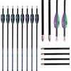 PHILOCS 12 Pezzi ID 4,2 mm Frecce di Targeting Spine 250 300 350 400 500 600 650 700 750 800 900 1000 Freccia da Pratica di Caccia, per Giovani Adulti Tiro con L'Arco (Spine 800, 29inch)