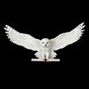 Harry Potter - Hedwig Owl Post Wall Decor ( Nn8965 ) ACC NUOVO