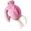 Honeylust Gabbia per il pene sfrontata - cintura di castità con design a fica, 4 misure di anelli per il cazzo, sex toy in plastica leggera per bondage, BDSM e comfort a lungo termine