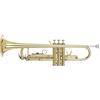 Proel GR STR500 Grassi - Tromba in Sib con finitura in Ottone Laccato e Pistoni in Acciaio Inossidabile con astuccio