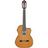 Ibanez Acoustic guitar / GA5TCE3QAM Standard