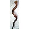 Yemenite Shofar Shofar kosher e lucido in yemenite, di alta qualità, 89-94 cm, sacchetto incluso