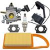 Dingmao Kit di Candele e Carburatore Compatibile con STIHL BR600 BR500 BR550 4282-120-0608