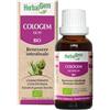 Herbalgem - COLOGEM - Bio