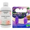 FEI FAN Camomilla Torino, Profumo Lavatrice, DALIA 500ml + Tarmiblok, Proteggi e Profuma Per Armadi e Cassetti, Profumo Di Primavera Provenzale (2xProfumo Lavatrice+1xTarmiblok)