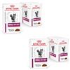 Royal Canin Veterinary Renal Beef | Confezione Doppia | 2 x 12 x 85 g | Alimento dietetico completo per gatti adulti | Per aiutare i problemi renali | In busta fresca