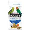 Versele-Laga NutriBird Treats Gold Patee Field Fusion | 250 g | Alimento complementare per uccelli | Umidificato con miele 100% naturale | Contiene lisina e metionina