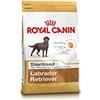 Royal Canin - Crocchette per Labrador, per cani sterilizzati, 12 kg
