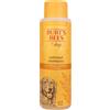 Burt's Bees for Pets Oatmeal Dog Shampoo - Shampoo lenitivo per Cani - Shampoo Delicato per Cani per Pelli sensibili - Cura degli Animali Domestici idratante con Farina d'avena colloidale e Miele -