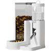 Generico Dispensatore Automatico Per Criceti | Per Conigli Domestici | Dispensatore E Biberon 2 In 1 Automatico Per Gerbilli Cincillà Piccoli Animali Casa Interno Esterno Soggiorno Camera Da Letto
