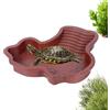 Generico Vaschetta Vasca per Tartarughe di Terra con Rampa‌,Vasca Piscina Vaschetta da Bagno per Tartarughe d'acqua, Laghetto Terrario Ciotola Accessori (#01)