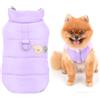 SMALLLEE_LUCKY_STORE Cappottino per cani di piccola taglia, foderato in pile, tinta unita, con toppa in stile cartone animato e anello a D, antivento, caldo, invernale, imbottito, per chihuahua,
