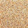 Petigi 5 kg Semi di Grano Frumento Grano Mangime per Polli