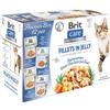 Brit Care Fillets in Jelly Flavour Box, cibo umido per gatti, senza cereali, confezione da 12 pezzi