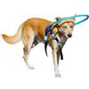 LetPetRun Collare a Halo Protettivo per Cani Ciechi, Collare Protettivo a Halo per Cani Ciechi, Imbracatura di Guida per Costruire la Fiducia, Accessori per Cani Ciechi, Taglia Media