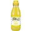 GNCPets Shampoo Igienizzante IV San Bernard Fruits con Zenzero e Sauco: Pulizia Profonda per Capelli Grassi e Controllo della forfora con Octoporix - 500 ml - Shampoo per Cani e Gatti