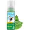 Tropiclean Fresh Breath Schiuma alla Menta per l'Igiene Orale del Tuo Animale Domestico - Senza Spazzolare - 133 ml
