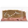 AntHouse - Fattoria di formiche di sabbia naturale - Set di base in acrilico 20x10x10 cm (formiche gratuite)
