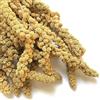 Il Contadino - Antichi Becchimi | PANICO in SPIGA | Essenza di Semi Selezionati e Super Ventilati, No OGM, 100% Vegetale, Assenza di scarti. qualità Superiore (15 kg)