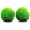 LUFFY Marimo Palla di muschio