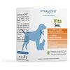 DYNAMOPET | Vita Small - Alimento Complementare per Mantenere le Difese dell'Organismo di Cane e Gatto, Confezione 20 bustine da 1 g - una Bustina ogni 5 kg di Peso dell'Animale
