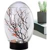 Generic per pesci - acquario | Acquario con luce LED | Divertente centrotavola da tavolo, portatile, decorazione per la casa, studio, hotel, soggiorno