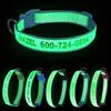 ROKHEVN Collare per cani ricamato fosforescente al buio, collare per cani personalizzato luminoso con nome e numero, collare per cani illuminato fluorescente per notte lunghezza regolabile adatto a tutti i