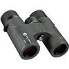 Alpen Optics Binocolo 6,5x32 ED compatto impermeabile rivestimento PXA per caccia birdwatching attività outdoor