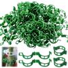 Generic Clip di supporto per piante da giardino, clip da parete per il fissaggio di pomodori, frutta, verdura, piante rampicanti per crescere in posizione verticale e rendere le piante più sane (100, verde)