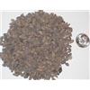 Generic 50 Bristlecone Pine Seed Confezione Pinus Aristata