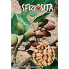 MONDONATURA SRL Semi Piante del Pistacchio 2 Buste Linea Maxi,Mondonatura Srl