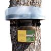 Generico Trappola ecologica per Processionaria del pino PROCESAN L