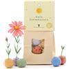 Die Stadtgärtner 8 bulbi di semi di fauna selvatica come regalo creativo | Bombole di semi di fiori selvatici | Idea regalo perfetta per compleanni, ringraziamento, rane e momenti di sole