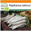 SAFLAX - - BIO - Ravanello - Daikon giapponese - 100 semi - Raphanus sativus
