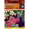 Sicignano Casalinghi Ingrosso Casalinghi Sicignano | Semi Petunia Grandiflora Superbissima in Miscuglio Mix, Pianta a Foglie Ovate, Fiori Annuali Durano a Lungo, Busta Extra - 1 Confezione da 0.02g, Pianta da Vaso, Adatta a Pieno Sole