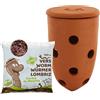 WORMacotta | Lombricomposter 1,1L in terracotta da seppellire | 500 gr di vermi di Compost | Trasforma la tua fioriera in lombricompostore | Composta i tuoi rifiuti organici