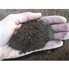 GEOSISM & NATURE - Lapillo vulcanico rosso, 100% naturale, per giardinaggio, drenaggio, pacciamatura, vasi e terrari (0/3 mm, Singolo- 10 lt)