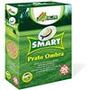 AL.FE SEMENTI PER PRATO OMBRA 1 KG. SMART