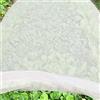 Jycra - Telo antigelo per piante, in tessuto non tessuto di alta qualità, riutilizzabile, copertura flessibile per piante da giardino e verdure, Tessuto non tessuto, bianco, 2 m x 10 m