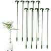 Generic Pali per piante da interno, bastoncini di supporto per orchidee a stelo singolo, da giardino, tubo di collegamento, anelli di supporto per gabbia per pomodori, fagioli, verdure