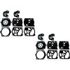 C·T·S Kit guarnizioni carburatore e membrana sostituiscono Walbro D10-WS per Stihl 051 076 Partner S50 F55 F65 P7000 K1200 (confezione da 2)