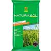 COMPO Naturasol Tappeti Erbosi, Terriccio per Tappeti Erbosi, Per la Semina e Rigenerazione di Tutti i Tipi di Prato, Sacco 70 L